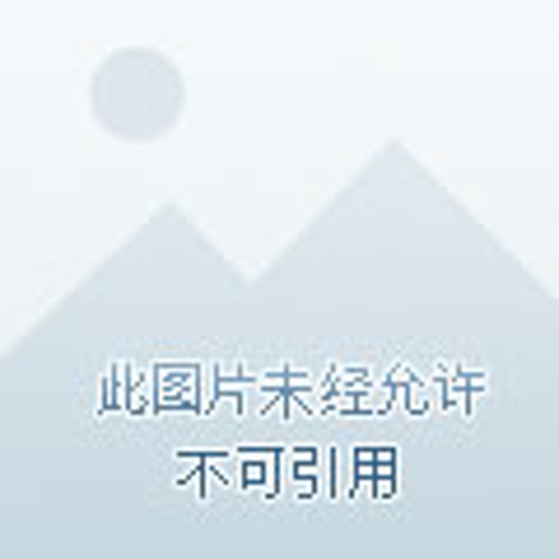 企业安保案例分析:如何构建全面的保护体系